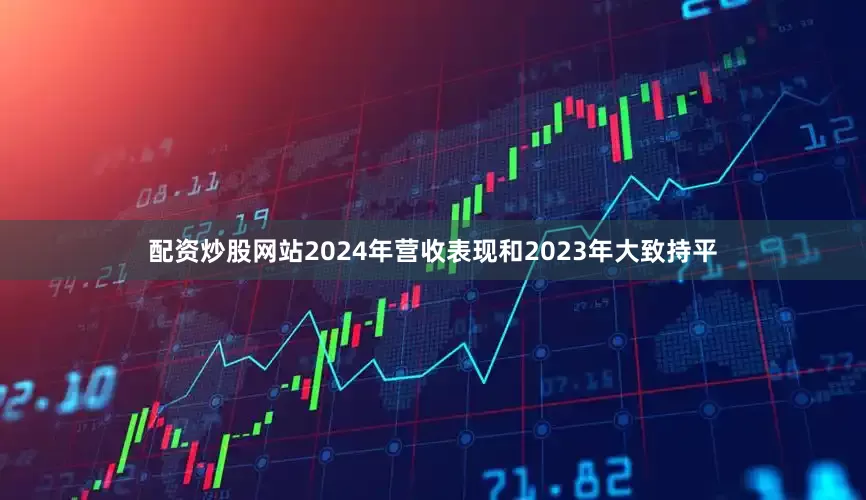 配资炒股网站2024年营收表现和2023年大致持平