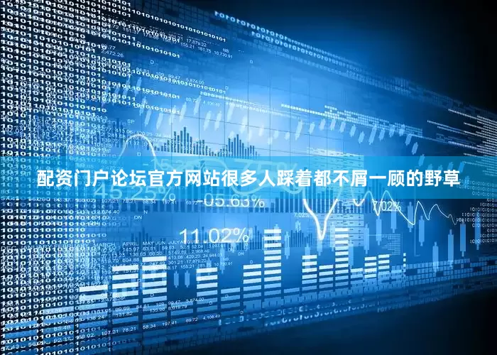 配资门户论坛官方网站很多人踩着都不屑一顾的野草