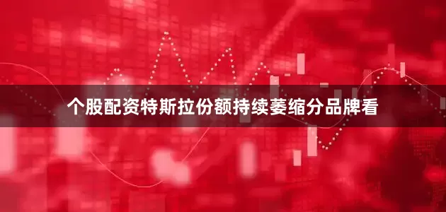 个股配资特斯拉份额持续萎缩分品牌看