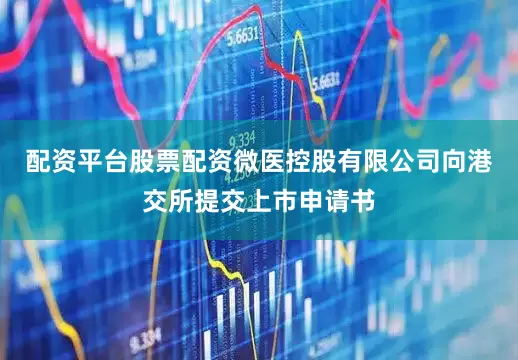 配资平台股票配资微医控股有限公司向港交所提交上市申请书